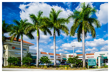 Hallandale Plaza Commercial Property